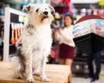 alimentos para mascotas