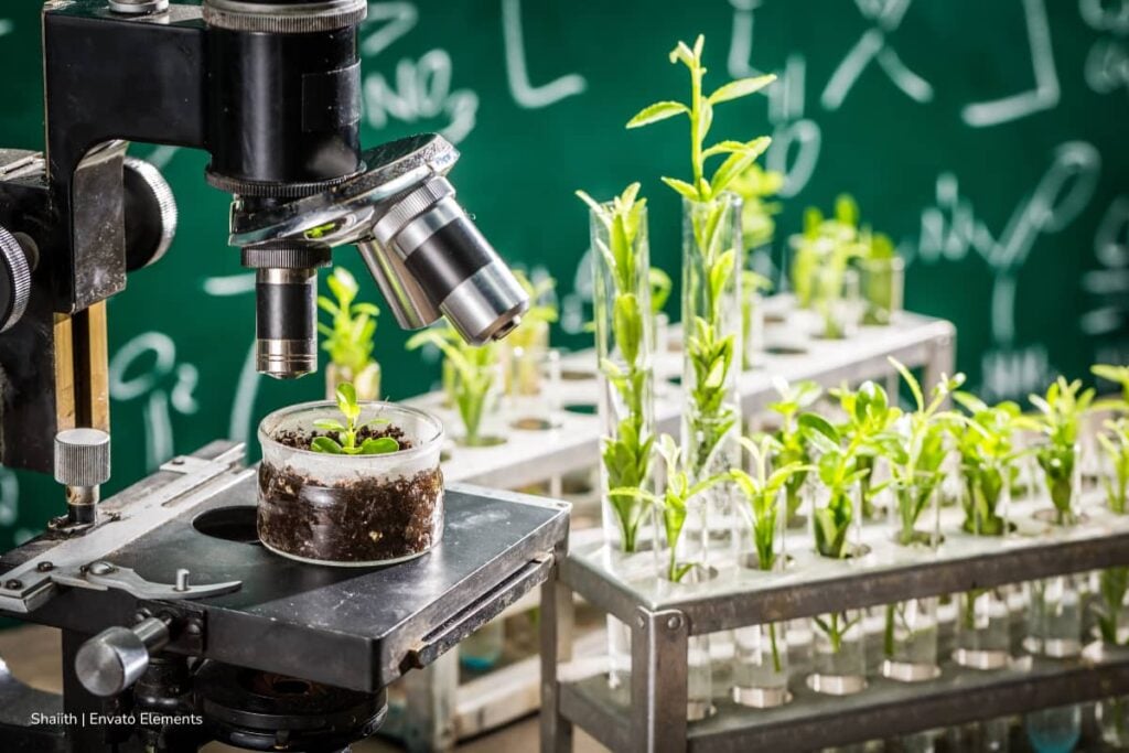 Ibagué será sede de encuentro científico sobre el maíz en Colombia en 2026: la ciudad acogerá la XXVI Reunión Latinoamericana del Maíz y el IX Congreso Nacional de Semillas 3 maíz en Colombia, sector semillero, Reunión Latinoamericana del Maíz, Congreso Nacional de Semillas, Reunión Latinoamericana del Maíz en Colombia, Más Colombia