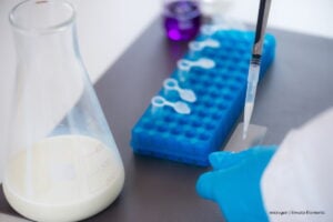 transformación del lactosuero, análisis de la transformación del lactosuero, Más Colombia