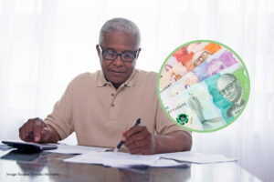 Renta Ciudadana y Devolución del IVA