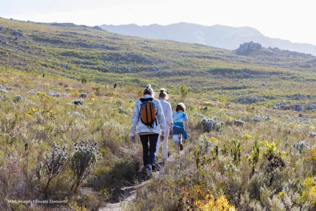 Nueva reglamentación para los páramos de Colombia busca equilibrar conservación y actividades campesinas 3 páramos de Colombia, Ley de Páramos, manejo sostenible del agua y del suelo, Más Colombia