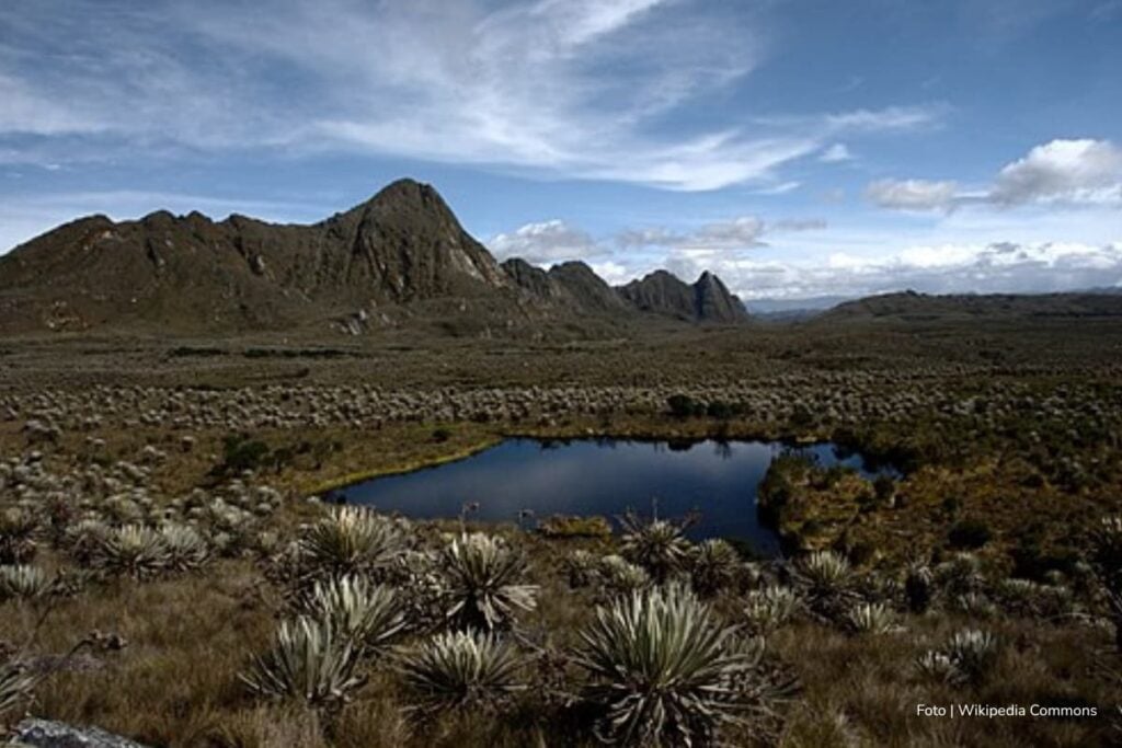 Protección del páramo Sumapaz: 5 municipios logran acuerdos para cuidar el agua y el ecosistema 4 protección del páramo Sumapaz, páramo Cruz Verde, parte del páramo Sumapaz, Más Colombia