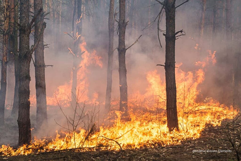 ¡Hito espacial! El satélite ambiental de Colombia empezará a construirse en 2026 para proteger los ecosistemas del país 3 satélite ambiental de Colombia, Vigilar ríos, embalses y posibles emergencias como incendios, Más Colombia
