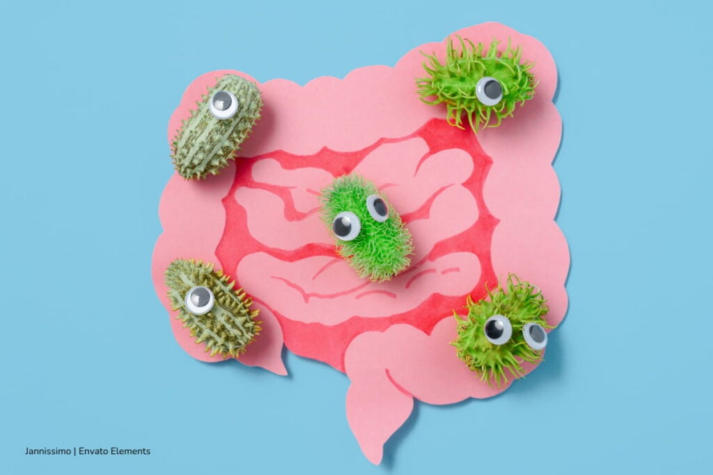 ¡Póngale cuidado a su panza! Las bacterias del intestino son las que podrían mandar en su memoria y en su vejez 4 bacterias del intestino, bacterias intestinales, Más Colombia