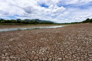 fenómeno del Niño 2026, fenómeno del Niño 2026 en Colombia, Más Colombia