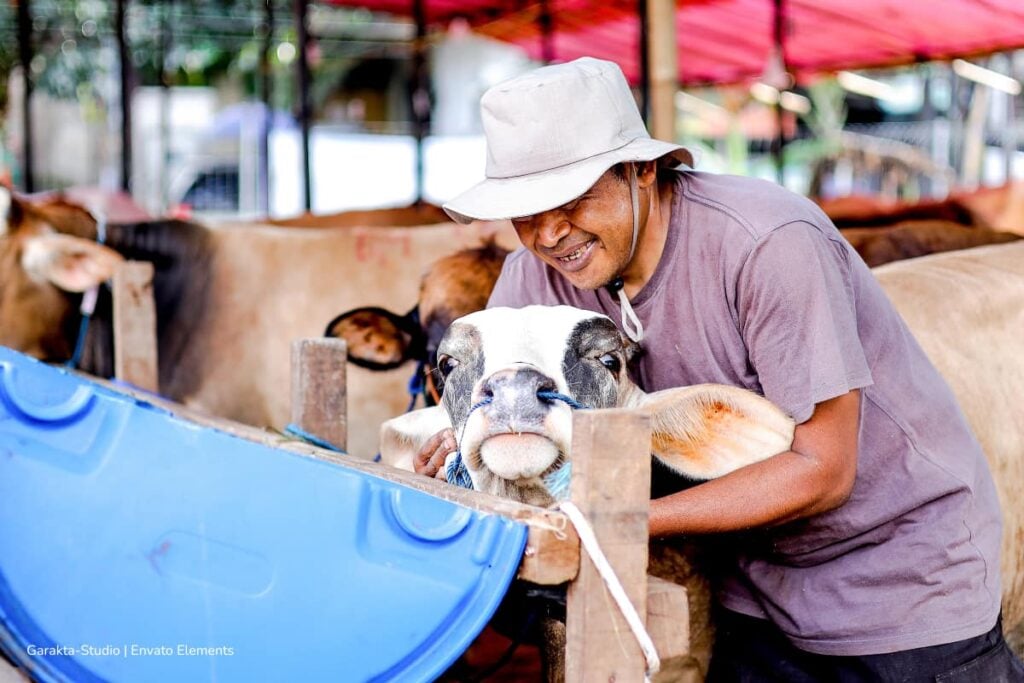 En 2025, Colombia evidenció crecimiento en la producción de leche: el récord fue de 8.405 millones de litros 4 producción de leche, ganadería lechera, Más Colombia