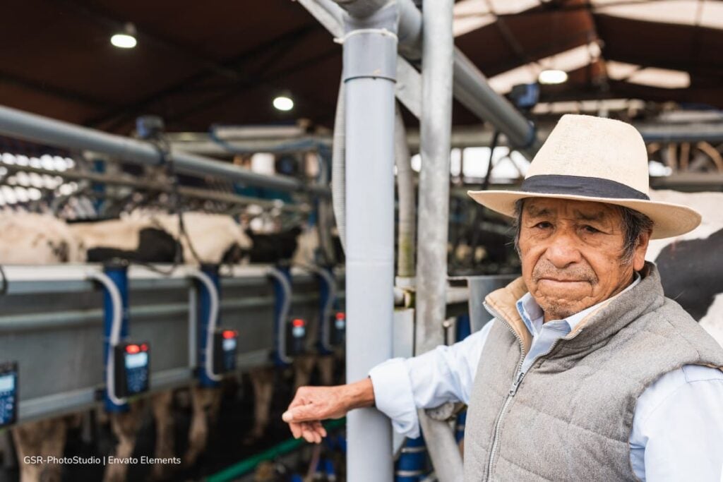 En 2025, Colombia evidenció crecimiento en la producción de leche: el récord fue de 8.405 millones de litros 2 producción de leche, industria láctea, Más Colombia