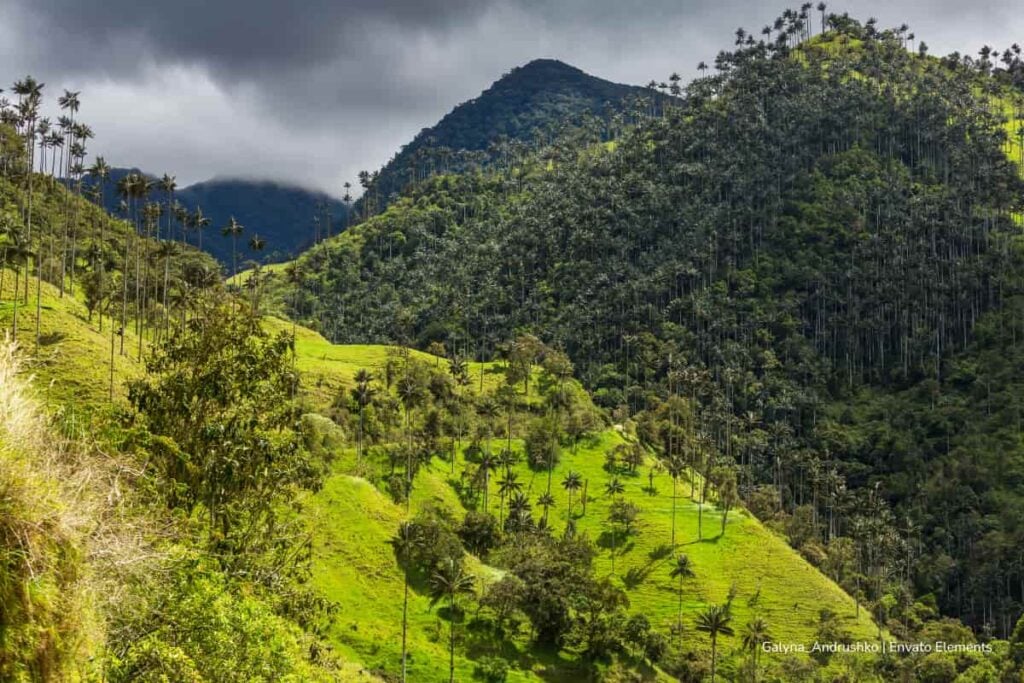¡Hito espacial! El satélite ambiental de Colombia empezará a construirse en 2026 para proteger los ecosistemas del país 2 satélite ambiental de Colombia