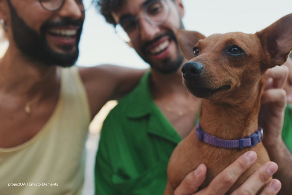 Prepare a su mascota: habrá esterilización gratis en Bogotá y tienen más de 4.000 cupos para perros y gatos en abril 4 pareja lllevando a esterilizar su mascota