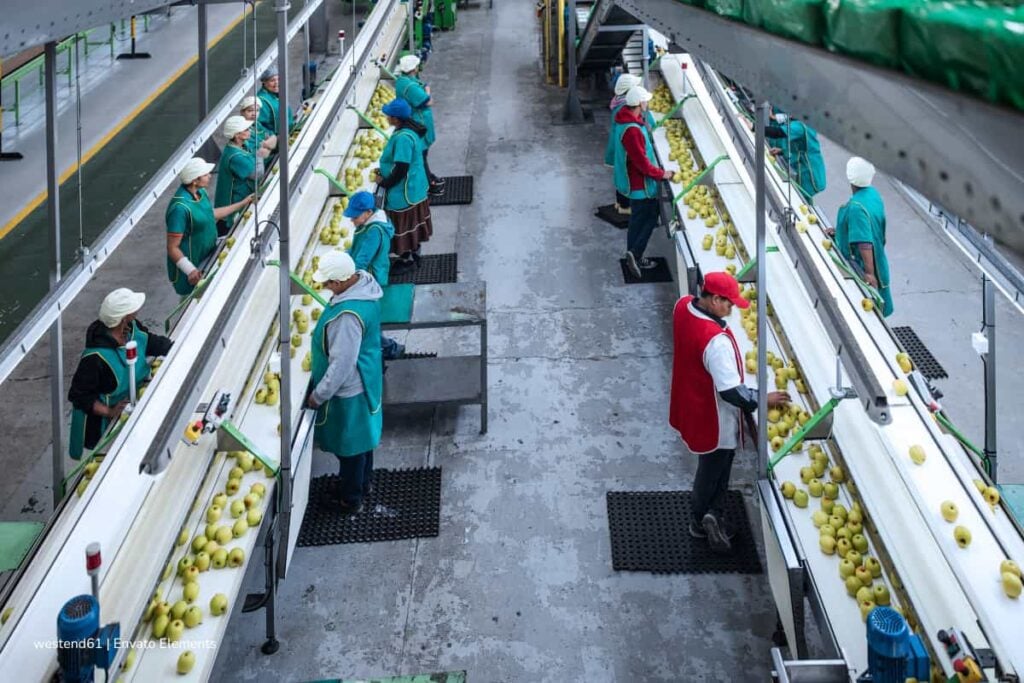 frutas colombianas de exportación, exportación de frutas colombianas, frutas tropicales, selección de frutas tropicales, Más Colombia