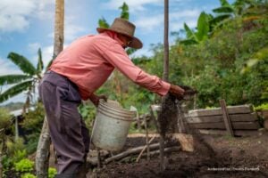 Día del Campesino, campesinos en Colombia, comunidades campesinas, Día del Campesino nacional colombiano, Más Colombia