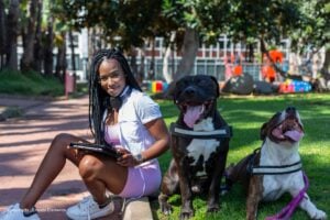 animales de apoyo emocional, animales de apoyo emocional en universidades, Más Colombia
