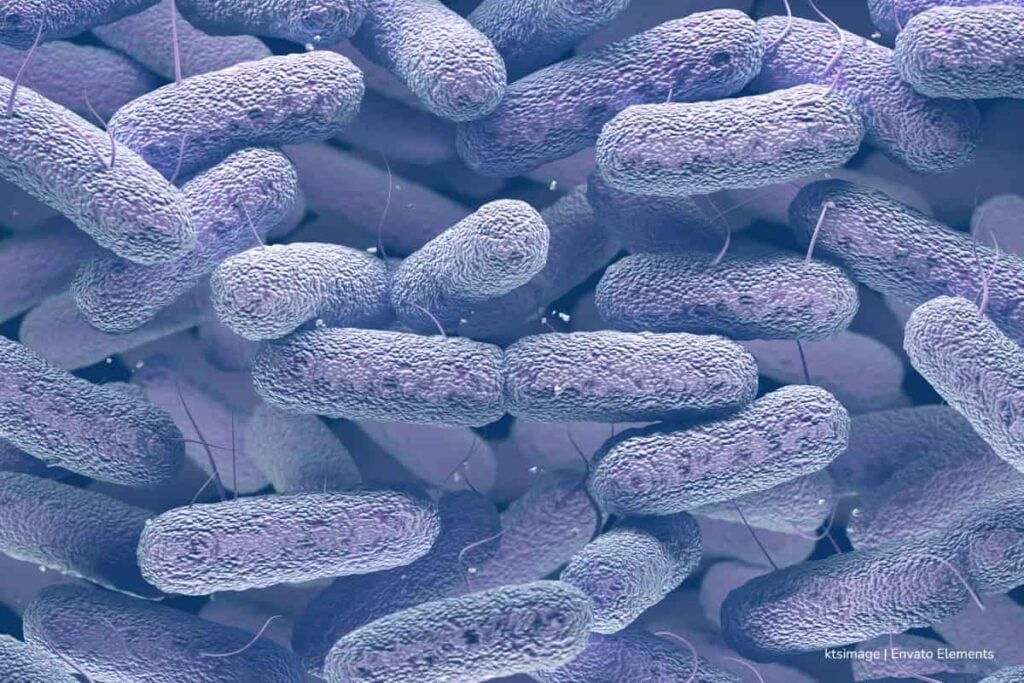 ¿Están los cítricos de Colombia en riesgo por la expansión del HLB? Una investigación lo averiguó 2 cítricos de Colombia, huanglongbing (HLB, Más Colombia