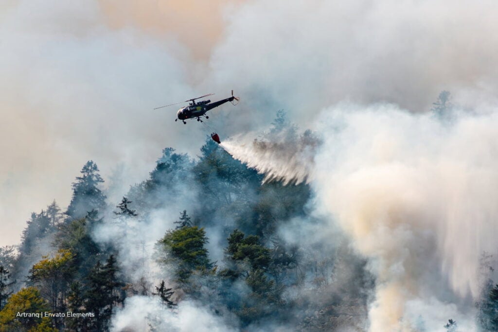 Los incendios forestales están alterando la alimentación y supervivencia de colibríes en Honda, Tolima 4 incendios forestales, colibríes en Colombia, intentos de apagar incendios, Más Colombia