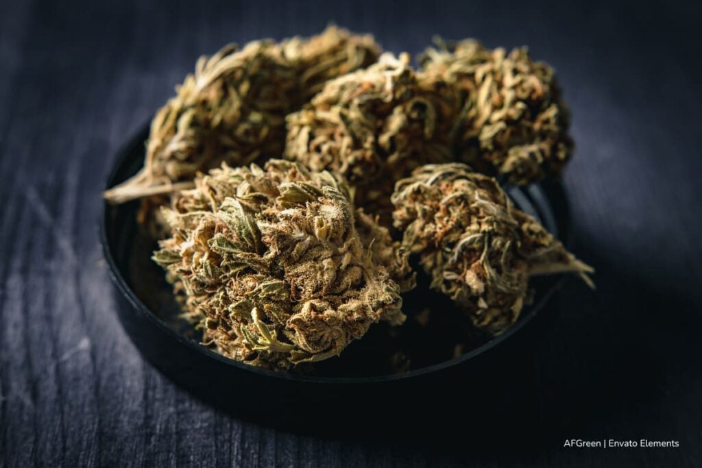 Qué buscar al comprar flores de CBD baratas en línea 4 flores de CBD baratas, proveedores de flores de CBD, Más Colombia