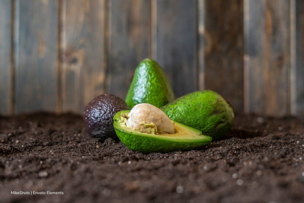 Investigadores de la UNAL convierten residuos de café en recubrimientos naturales contra la corrosión 2 residuos de café, restos de aguacate para reciclar, Más Colombia