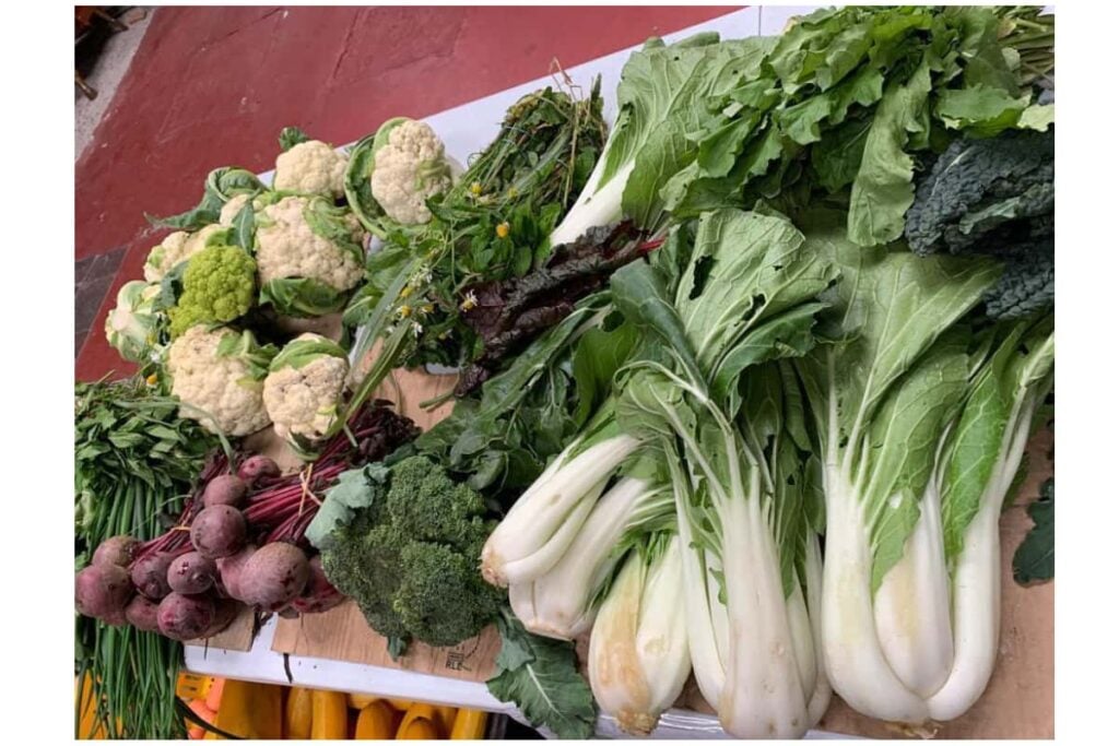 El ingrediente secreto de Alexandra nunca ha estado en la cocina 4 Alexandra, Emprendimiento, Comida Casera en Bogotá, Más Colombia, Comida Casera