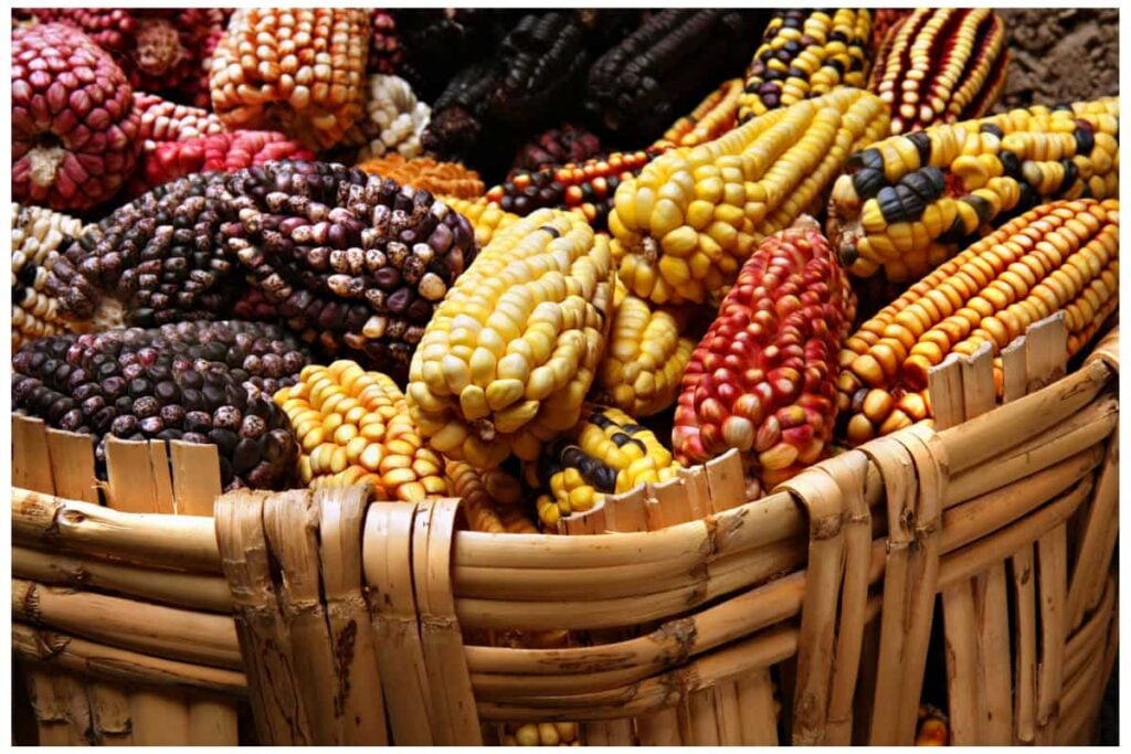 Desafíos del sector agropecuario para Colombia 2026-2030 3 Desarrollo rural, Desafíos del sector agropecuario, Sector Agropecuario, Campo, Más Colombia