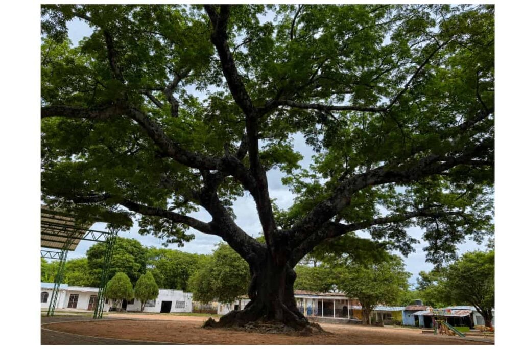 El Caguán, un destino de fe, naturaleza y tradición que invita a descubrir el corazón rural de Neiva 2 El Caguán, Corregimiento El Caguán, Turismo Huila, Turismo Neiva, Paisajes, Más Colombia