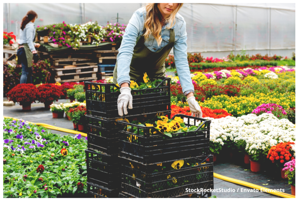 El ICA cambia la forma de inspeccionar los productos agroexportadores y busca reducir costos logísticos 4 ICA, Exportación, Agroexportaciones de Colombia, Costos Logísticos, Más Colombia