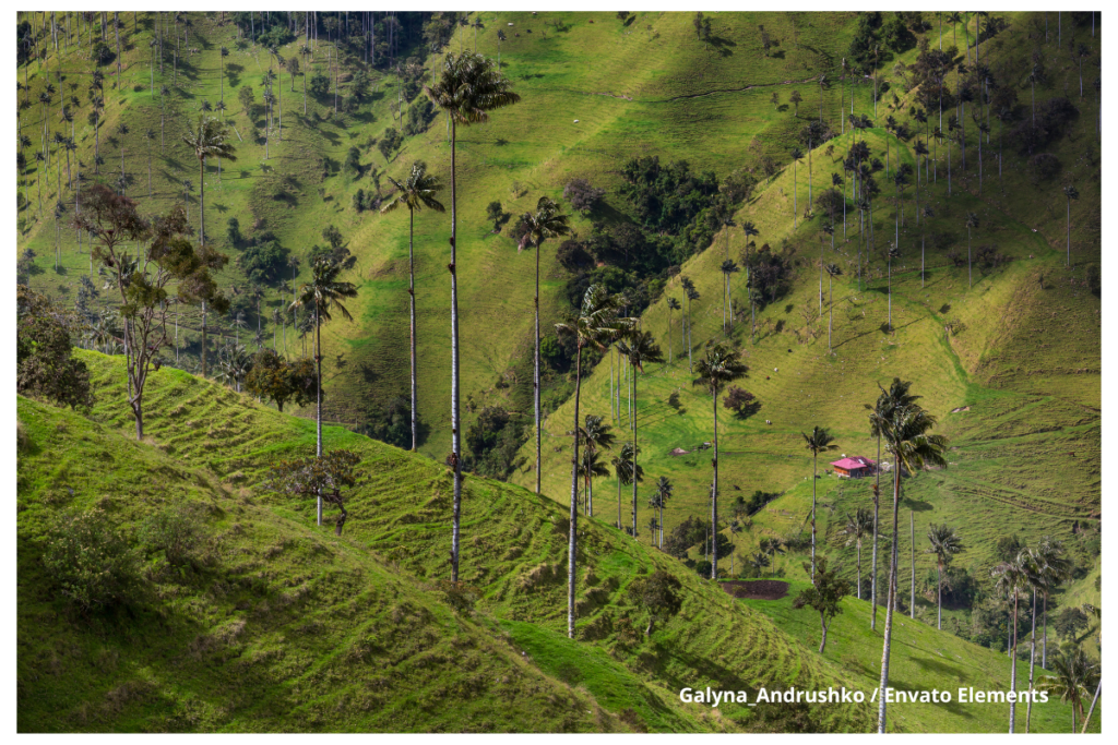Biodiésel: qué es, cuánto se produce y qué tan bueno es para el medio ambiente 3 Biodiésel, Impacto Ambiental, Biocombustibles, Medio Ambiente, Más Colombia