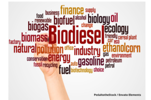 Biodiésel, Impacto Ambiental, Biocombustibles, Medio Ambiente, Más Colombia