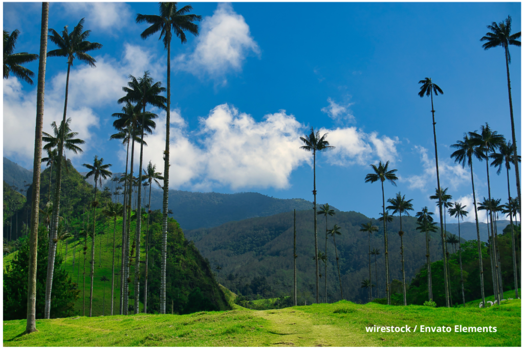 Turismo de bienestar en Colombia: 10 destinos para descansar, reconectar y renovar cuerpo y mente 2 Turismo de Bienestar, Valle del Cocora, Tatacoa, Nuquí, Más Colombia