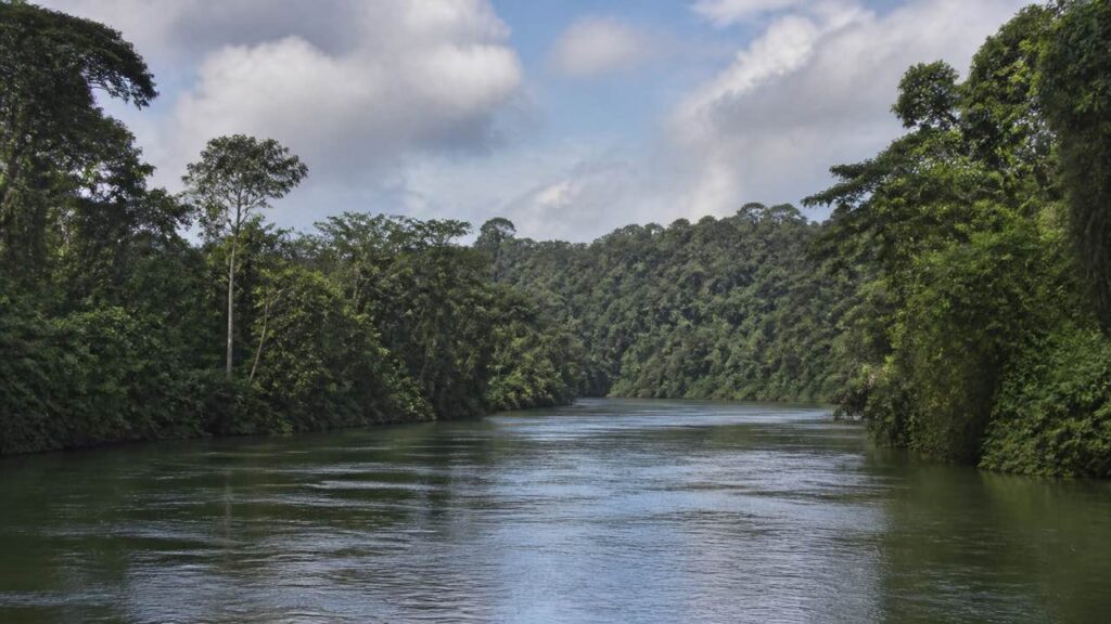 Paisaje selvático y fluvial del Pacífico colombiano en un día tranquilo