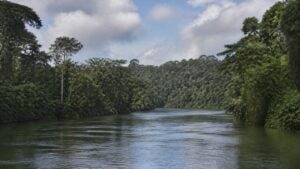 Paisaje selvático y fluvial del Pacífico colombiano en un día tranquilo