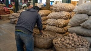 Sacos y canastas de papas en una central mayorista con un trabajador de espaldas