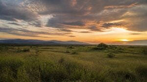 Llanura del piedemonte llanero colombiano al atardecer