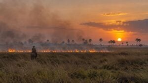 Un llanero a caballo observa una quema sobre la sabana de la Orinoquía al atardecer.