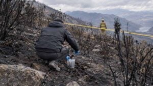 Investigador recoge muestras entre cenizas y troncos quemados mientras un bombero observa al fondo.