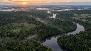 Selva amazónica al amanecer con áreas de cultivo, un río oscuro y neblina sobre los árboles