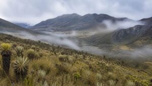 Paisaje sereno del volcán Puracé entre páramo y niebla durante el día