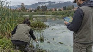 Investigadores toman una muestra y revisan una tableta junto a un humedal urbano con agua verde azulada.