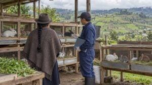 Productora de espaldas conversa con un técnico junto a jaulas de madera con conejos vivos en una granja andina.