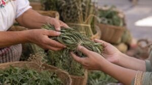Una vendedora entrega un manojo de hojas secas a una clienta en un puesto de hierbas de una plaza de mercado.