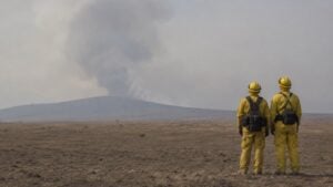 Brigadistas forestales trabajan en una ladera seca con humo al fondo.