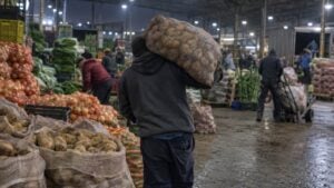 Un comerciante descarga bultos de papa en una central de abastos.